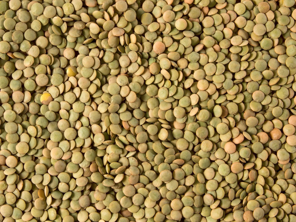 product-image.jpg