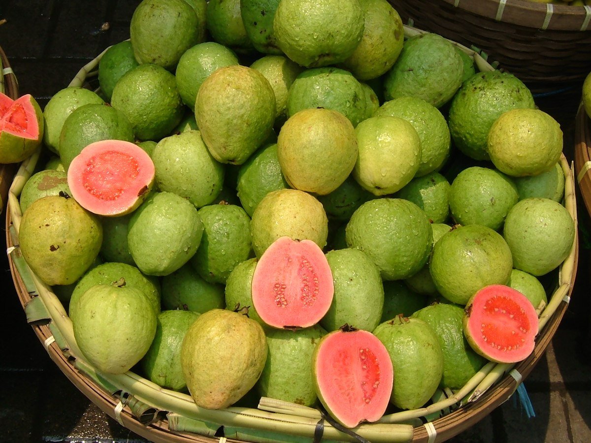 product-image.jpg