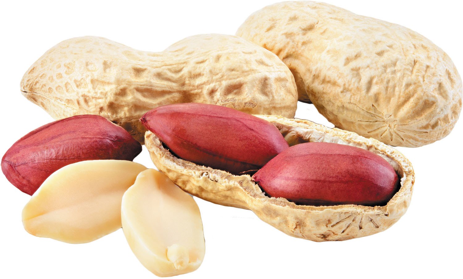 product-image.jpg